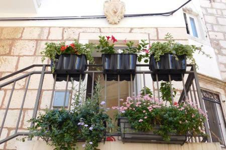 Apartment Punat Đảo Korčula Ngoại thất bức ảnh